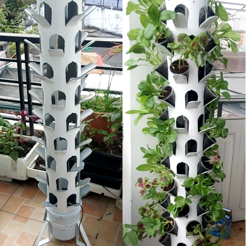 trồng rau sạch tại nhà với mô hình trụ đứng