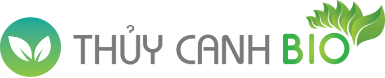 Thủy Canh Bio – Hệ Thống Trồng Rau Thủy Canh Cho Mọi Nhà