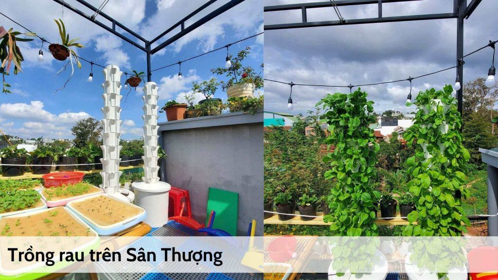 cong-ty-thuy-canh-bio