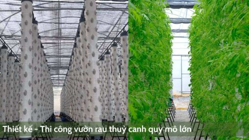 huong-dan-lap-dat-tru-trong-rau-bio