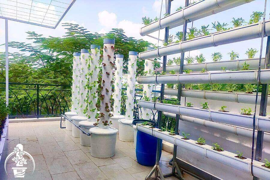 Thiết kế mô hình trồng rau trên sân thượng có mái che giá rẻ tại tphcm